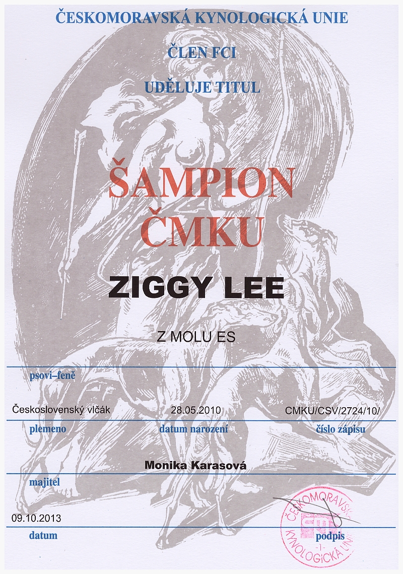 Šampion ČMKU - Ziggy Lee z Molu Es