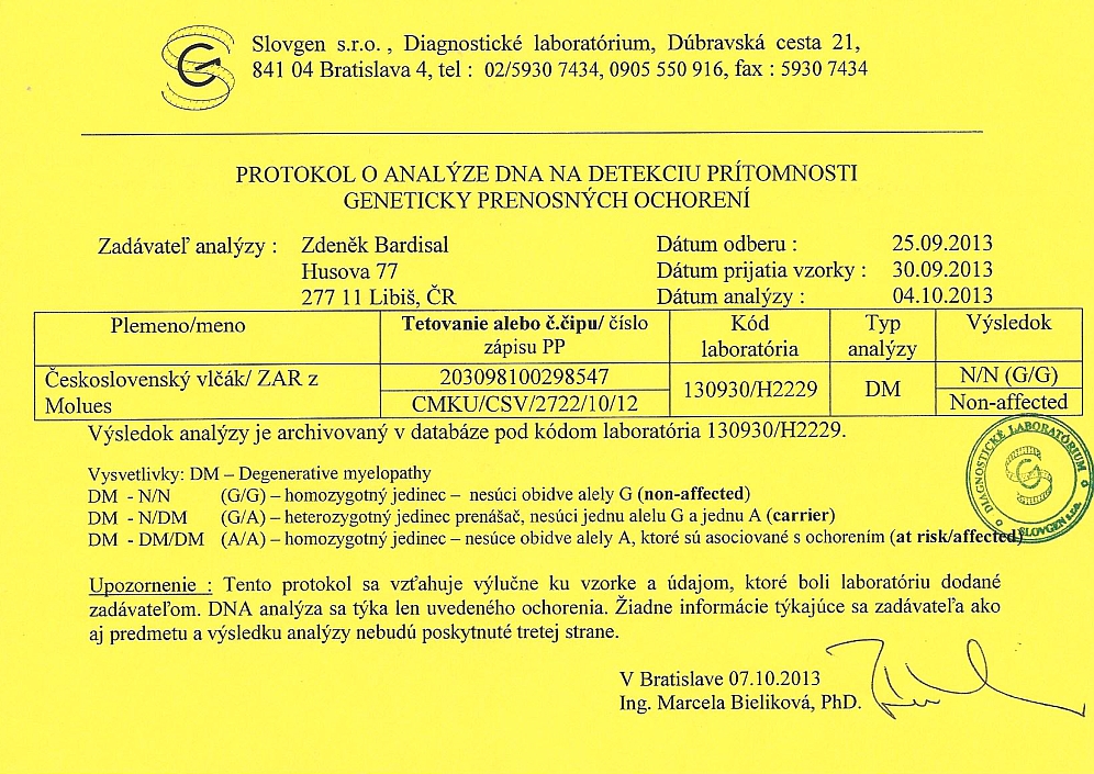Zar z Molu Es - certifikát DM - N/N