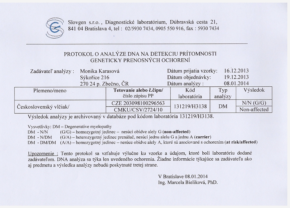 Zigge Lee protokol DM