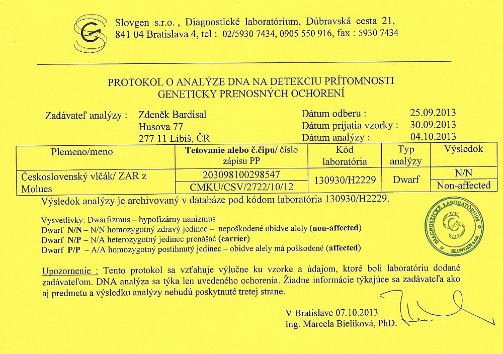 Zar z Molu Es - certifikát dwarfismus - N/N