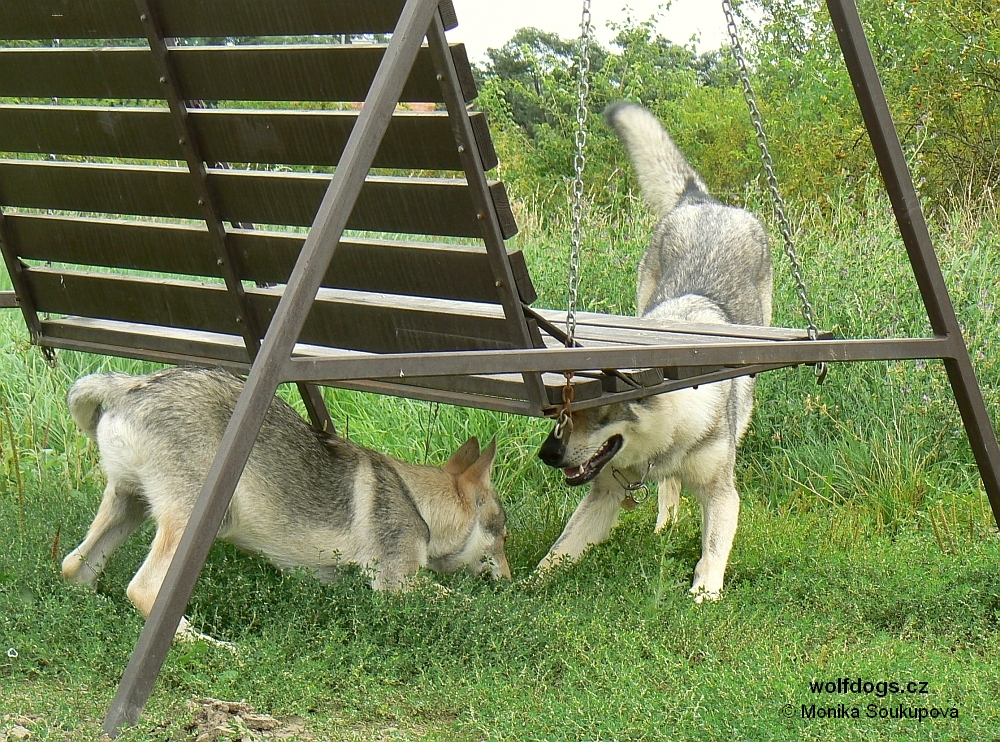 Zar a Yukon "pojd si hrát" - 25.8. 2010