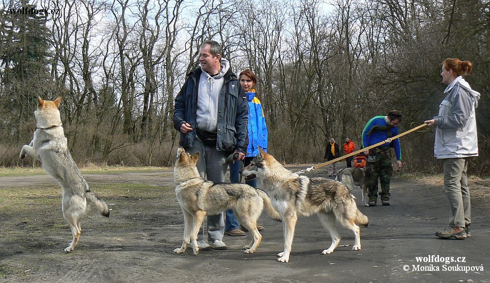 Xitta, Yukon, Ziggy Lee z Molu Es, Miloš, Andulka a Monika. V pozadí Tomáš se Zefi - 27.3. 2011 Roudnice 