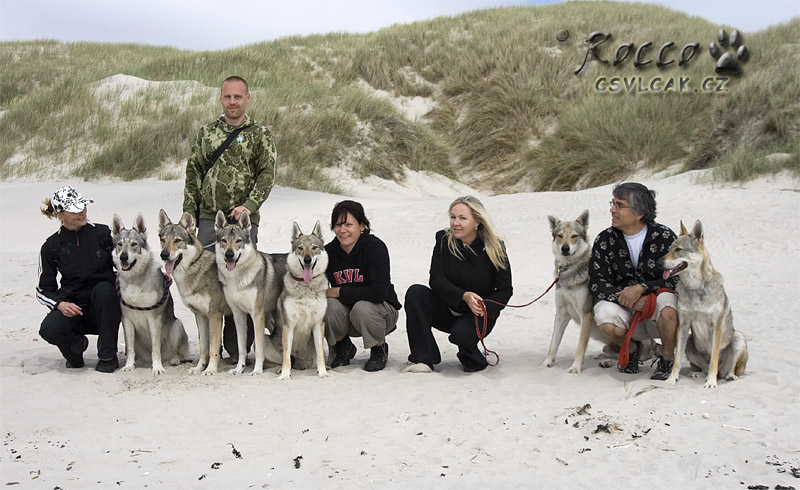 Výlet na mořské pobřeží: Jana, Rolf, Jarka já a Christian + psi: Amy Kuklík, Uno, Xtreme, Witch, U´Tala z Molu Es a Myla Crying Wolf