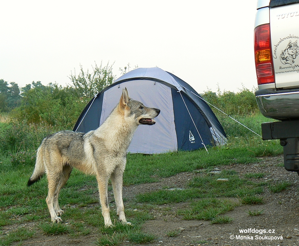 Yukon "Kdo to přijel?" srpen 13th 2010