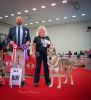 26 Nitra Chanik - Grand Prix SK Veteran Winner