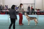 Budulínek z Molu Es - MVP Bratislava 2015