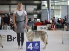 Harriett Brno EV V4