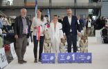 Budulínek se svými potomky na EV 2025 Brno