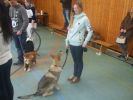 19 weeks Felia - Breitenbach (GE)