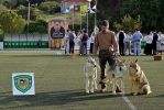 Miguel se svými psy na stadioně