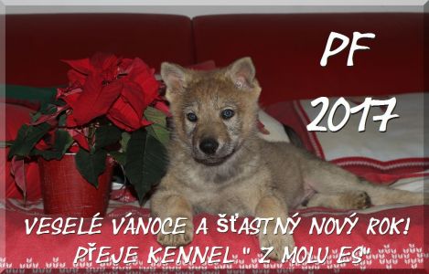 Pf 2017 kennel z Molu Es