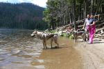 Šumava - Kulička a Kámo