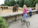 ZOO Hannover 