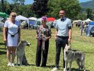 Aarau sobota Harriett BOS a BOB Oliver z Blatnických vinic