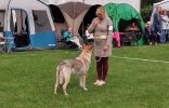 Wroclavw 24 Harriett - BOB