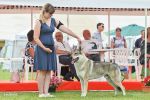 24 NVP MB -  čestná - závěrečky _ Justify Kassius