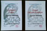 diplomy - Justify Kassius - Český Grand Šampion  a Šampion ČMKU