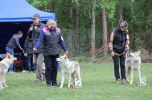 Korry a Kosmo Raff - pořadí