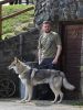 Ares Kalix wolf  a Patrik