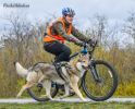 Enrys Vilhanov dvor - beh