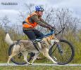 Enrys Vilhanov dvor - beh