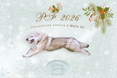 PF26 KaLup FINAL 002