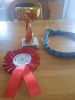 ROZ Lamborgino - trofeje