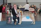 Erron z Molu Es - BOB - German Winner show