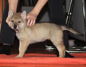 Matylda z Molu Es - 5 weeks