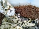 Mňauky a její koťátko