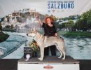 Salzburg24 - Norbert z Molu Es " Bertik"