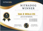 NitraDog Winner Oia