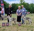 25 Krakov MVP -  BOB - Casablanca Bubbledog, BOS - Pontiac Yukon z Molu Es s rozhodčí