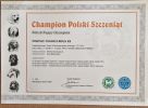 PL - champion stenat Pontiac