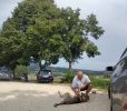 9mes Quenny a Zdenek - uvítání