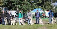 Molaci - Tynec 24 _ korry, Oia, Tinky, Harriett, Olivia, Fu Finka, Pontiac Yukon