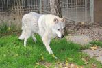 16let Yukon z Molu Es