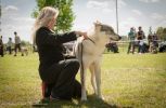 Klubovka 2014 - Yukon