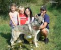 Yukon trofeje z MB 2013 - děti Liduška a Luky