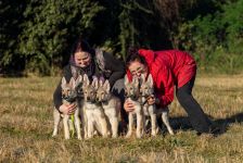 3 mes stenata A Crazy Beast