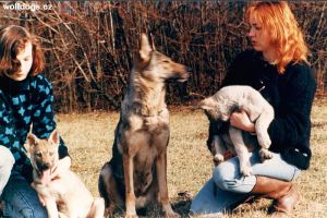 Alina uprostřed, Petra s Bilou v levo, já s Baklavou v pravou, 1992 