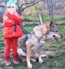 Asta z Tondova - 16let a Bara