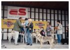 Amálka - MVP Litomerice 1996 