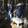 Api - čekání na instrukce - reklama Ferrero