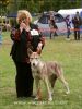 Be Happy Wolf z Molu Es a Ela Club show Lodz - V1, Best Junior, Junior Club Winner, BOB