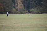 Mohelnice23 MCRS - Budulínek a Kamila