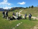 setkání majitelů ČSV - Slovinsko 13.10. 2013