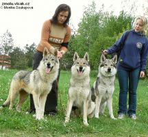 skupina Yukon, Wolfish Witch a Veron