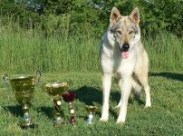 Yukon z Molu Es a trofeje Litoměřice 2014