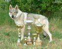 Trofeje MVP Litoměřice 2012 a Yukon z Molu Es 